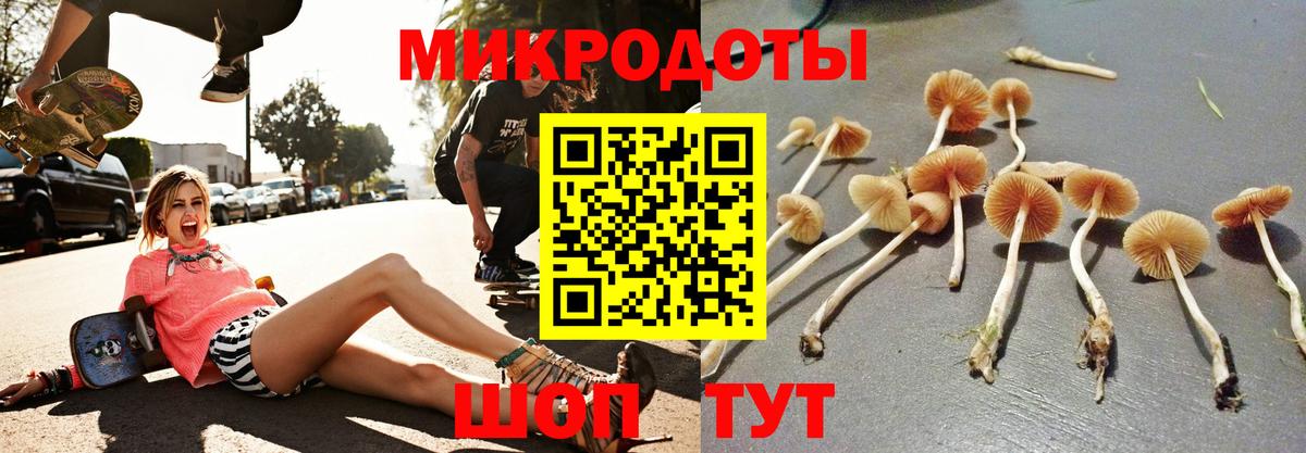 Псилоцибиновые грибы MAGIC MUSHROOMS  Вход с VPN  Новотроицк 